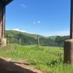 Settling In to a Second Year