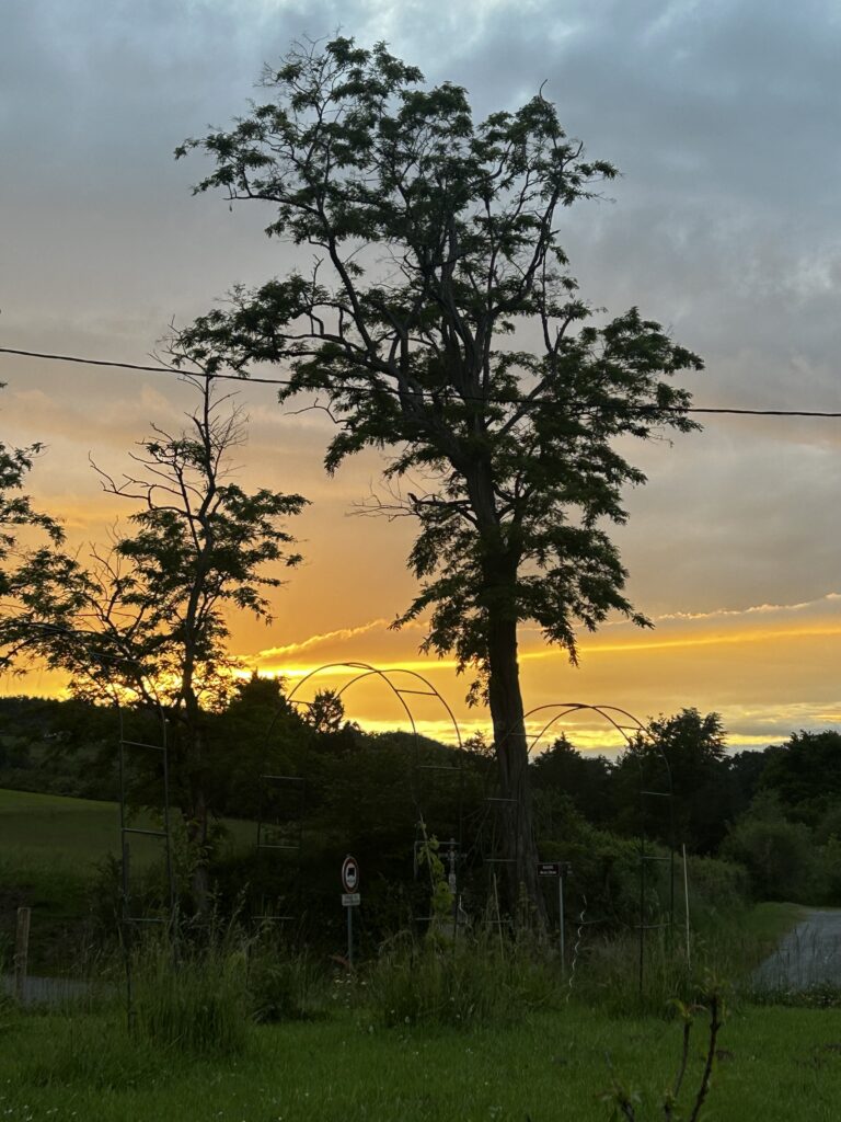 Sun set from The Healing Path